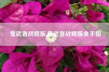 鬼武者战略版,鬼武者战略版金手指