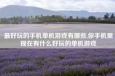 最好玩的手机单机游戏有哪些,你手机里现在有什么好玩的单机游戏
