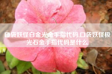 口袋妖怪白金光金手指代码,口袋妖怪极光石金手指代码是什么