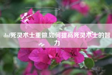 dnf死灵术士重做,如何提高死灵术士的智力