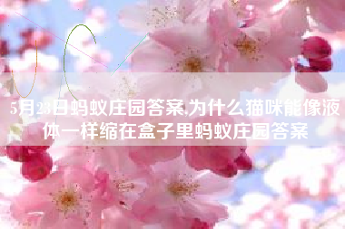 5月23日蚂蚁庄园答案,为什么猫咪能像液体一样缩在盒子里蚂蚁庄园答案