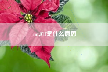 mt,MT是什么意思
