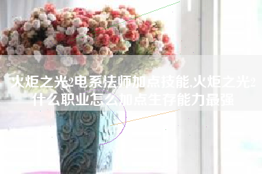 火炬之光2电系法师加点技能,火炬之光2什么职业怎么加点生存能力最强