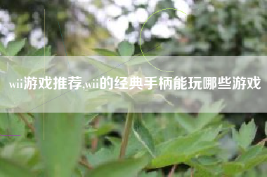 wii游戏推荐,wii的经典手柄能玩哪些游戏