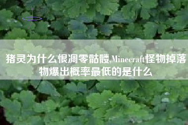 猪灵为什么恨凋零骷髅,Minecraft怪物掉落物爆出概率最低的是什么