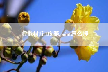虚拟村庄1攻略,point怎么挣