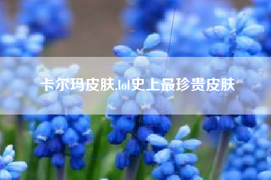 卡尔玛皮肤,lol史上最珍贵皮肤