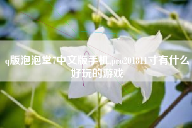 q版泡泡堂7中文版手机,pro201811寸有什么好玩的游戏