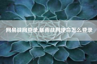 网易战网登录,暴雨战网使命怎么登录