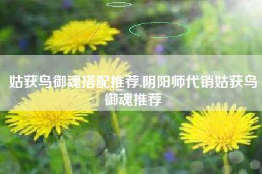 姑获鸟御魂搭配推荐,阴阳师代销姑获鸟御魂推荐