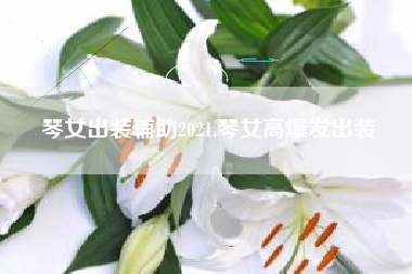 琴女出装辅助2021,琴女高爆发出装