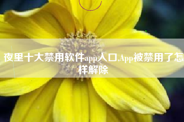 夜里十大禁用软件app入口,App被禁用了怎样解除