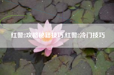 红警2攻略秘籍技巧,红警2冷门技巧