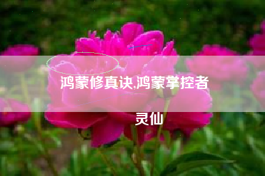 鸿蒙修真诀,鸿蒙掌控者
灵仙 鸿蒙修真诀,鸿蒙掌控者
灵仙