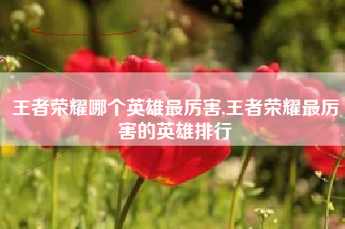 王者荣耀哪个英雄最厉害,王者荣耀最厉害的英雄排行