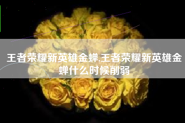 王者荣耀新英雄金蝉,王者荣耀新英雄金蝉什么时候削弱