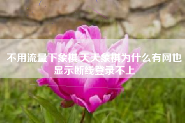 不用流量下象棋,天天象棋为什么有网也显示断线登录不上