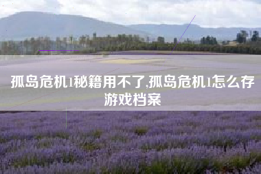 孤岛危机1秘籍用不了,孤岛危机1怎么存游戏档案