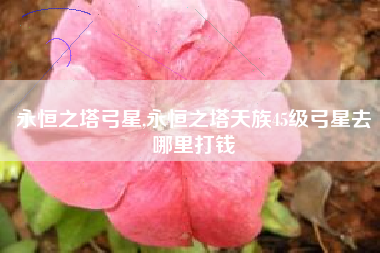 永恒之塔弓星,永恒之塔天族45级弓星去哪里打钱