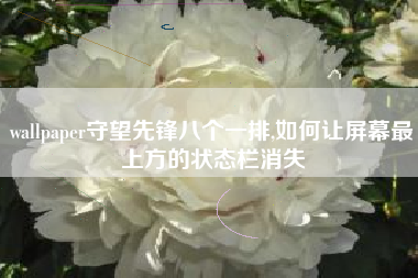wallpaper守望先锋八个一排,如何让屏幕最上方的状态栏消失