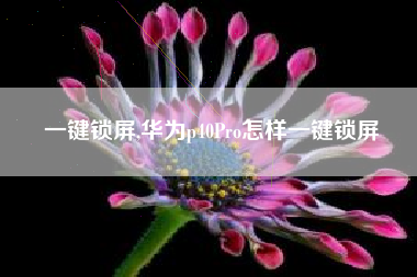 一键锁屏,华为p40Pro怎样一键锁屏