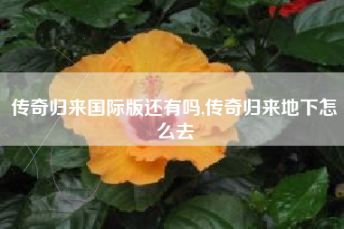 传奇归来国际版还有吗,传奇归来地下怎么去