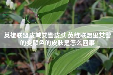 英雄联盟皮城女警皮肤,英雄联盟里女警的变颜色的皮肤是怎么回事