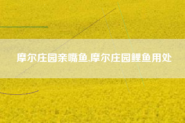 摩尔庄园亲嘴鱼,摩尔庄园鲤鱼用处