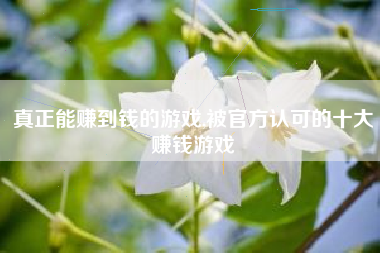 真正能赚到钱的游戏,被官方认可的十大赚钱游戏