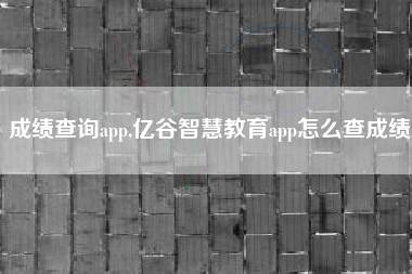 成绩查询app,亿谷智慧教育app怎么查成绩