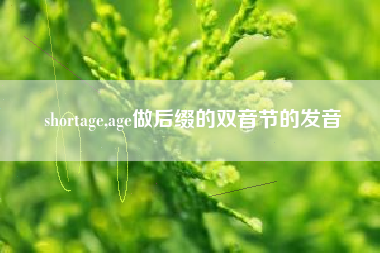 shortage,age做后缀的双音节的发音