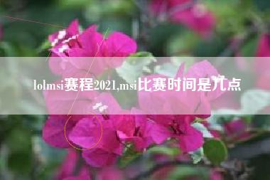 lolmsi赛程2021,msi比赛时间是几点