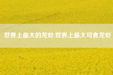 世界上最大的龙虾,世界上最大可食龙虾