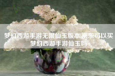 梦幻西游手游无限仙玉版本,京东可以买梦幻西游手游仙玉吗