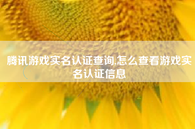 腾讯游戏实名认证查询,怎么查看游戏实名认证信息