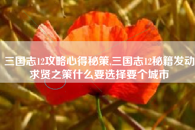 三国志12攻略心得秘策,三国志12秘籍发动求贤之策什么要选择要个城市