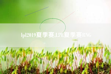lpl2019夏季赛,LPL夏季赛RNG