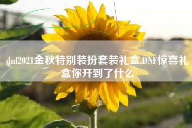 dnf2021金秋特别装扮套装礼盒,DNF惊喜礼盒你开到了什么