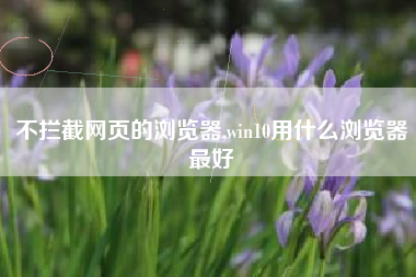 不拦截网页的浏览器,win10用什么浏览器最好