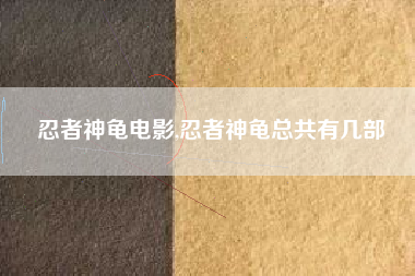 忍者神龟电影,忍者神龟总共有几部