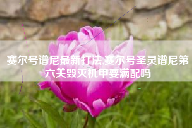 赛尔号谱尼最新打法,赛尔号圣灵谱尼第六关毁灭机甲要满配吗