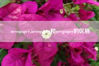 newspaper,newspaper和newpaper的区别
