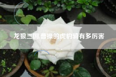 龙狼三国,曹操的虎豹骑有多厉害