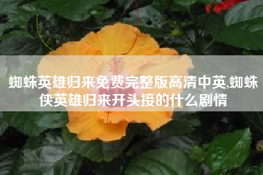 蜘蛛英雄归来免费完整版高清中英,蜘蛛侠英雄归来开头接的什么剧情