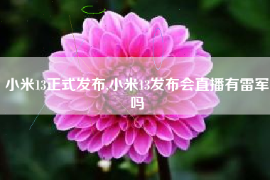 小米13正式发布,小米13发布会直播有雷军吗