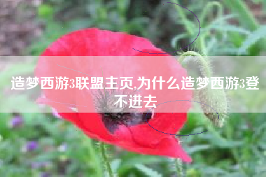 造梦西游3联盟主页,为什么造梦西游3登不进去