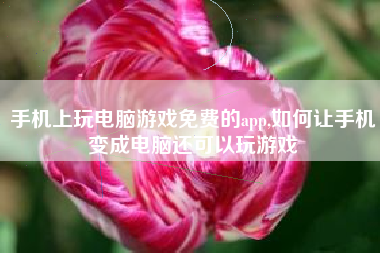 手机上玩电脑游戏免费的app,如何让手机变成电脑还可以玩游戏