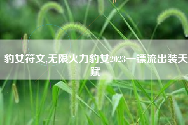 豹女符文,无限火力豹女2023一镖流出装天赋