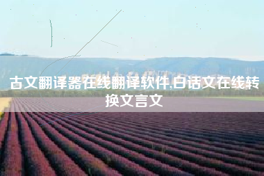 古文翻译器在线翻译软件,白话文在线转换文言文