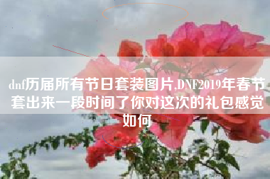 dnf历届所有节日套装图片,DNF2019年春节套出来一段时间了你对这次的礼包感觉如何